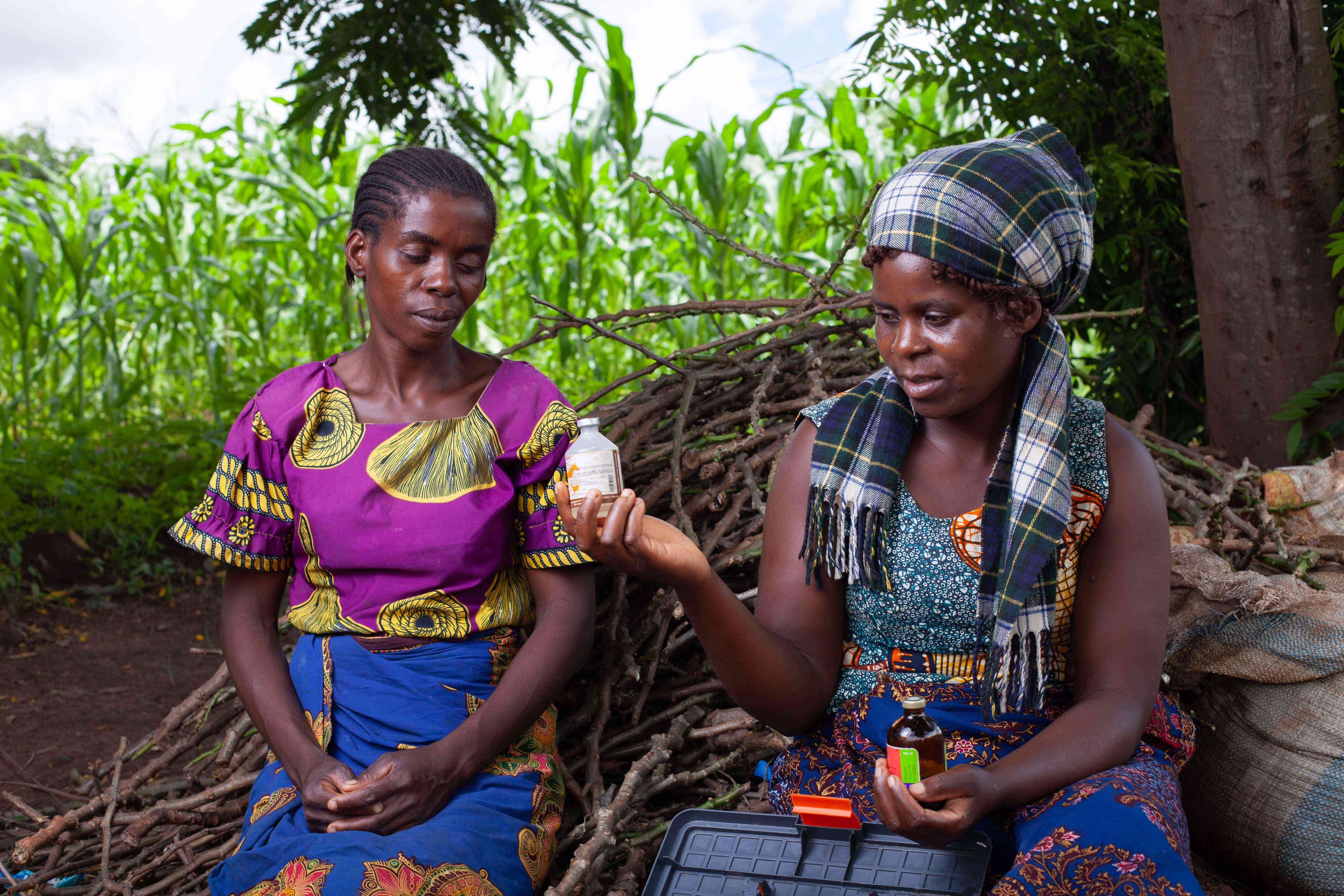Women play an important role in livestock. Dorica, a CAHW under PASACLIP