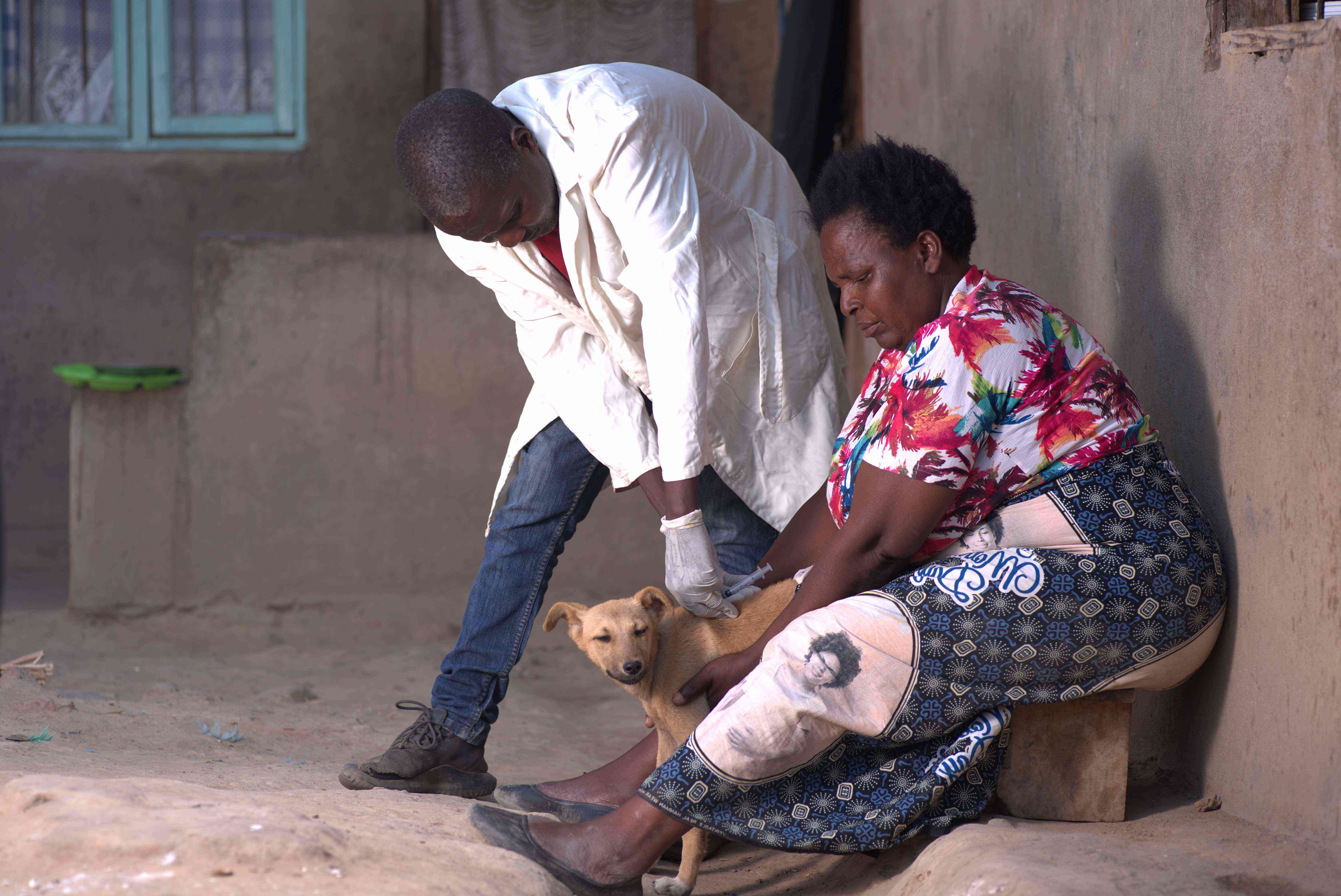 MR Swira, government livestock officer for government vaccinating a dog under ATERP project