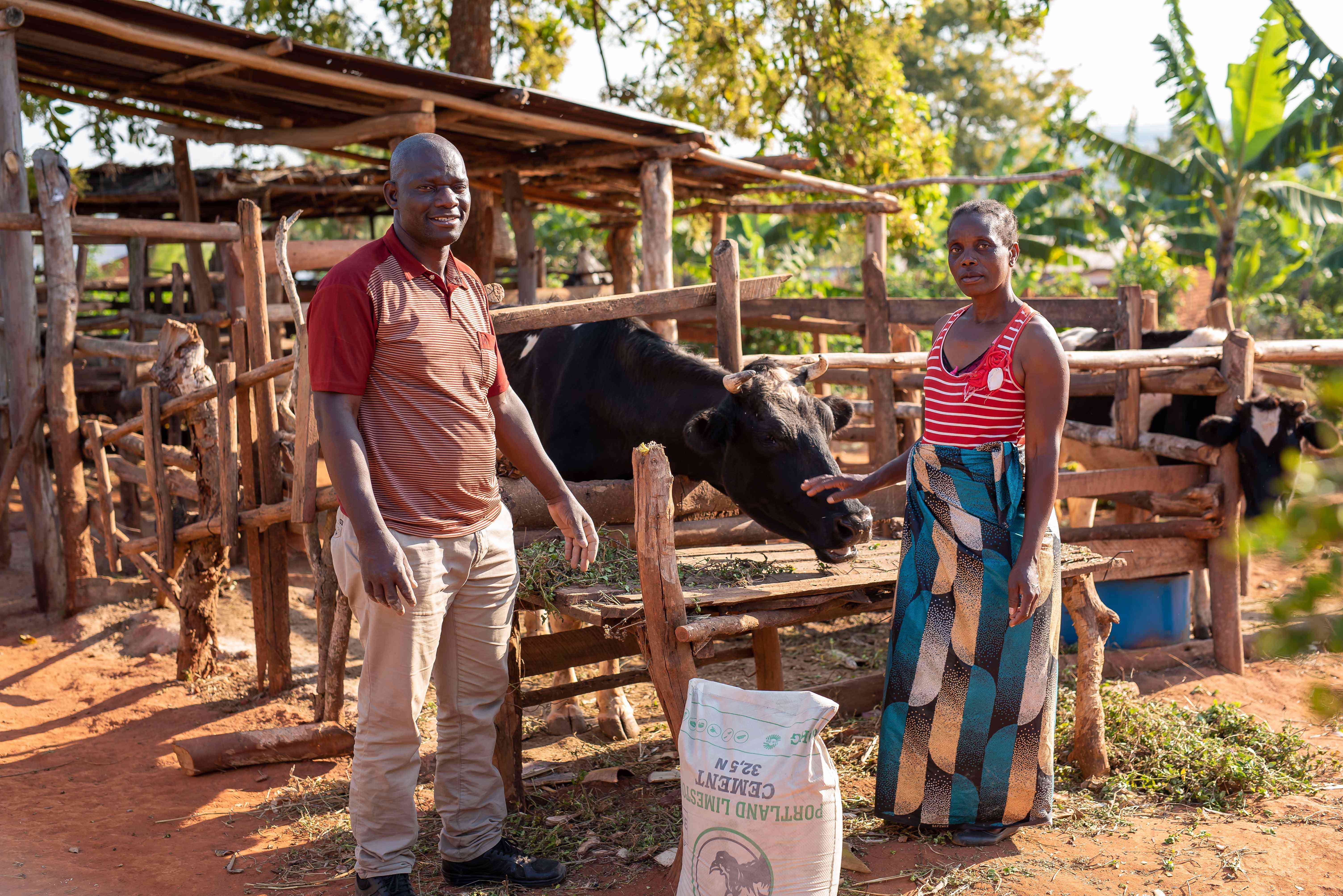 Executive Director for CCEI, Gilbert Banda, handing over cement to Alice Honde