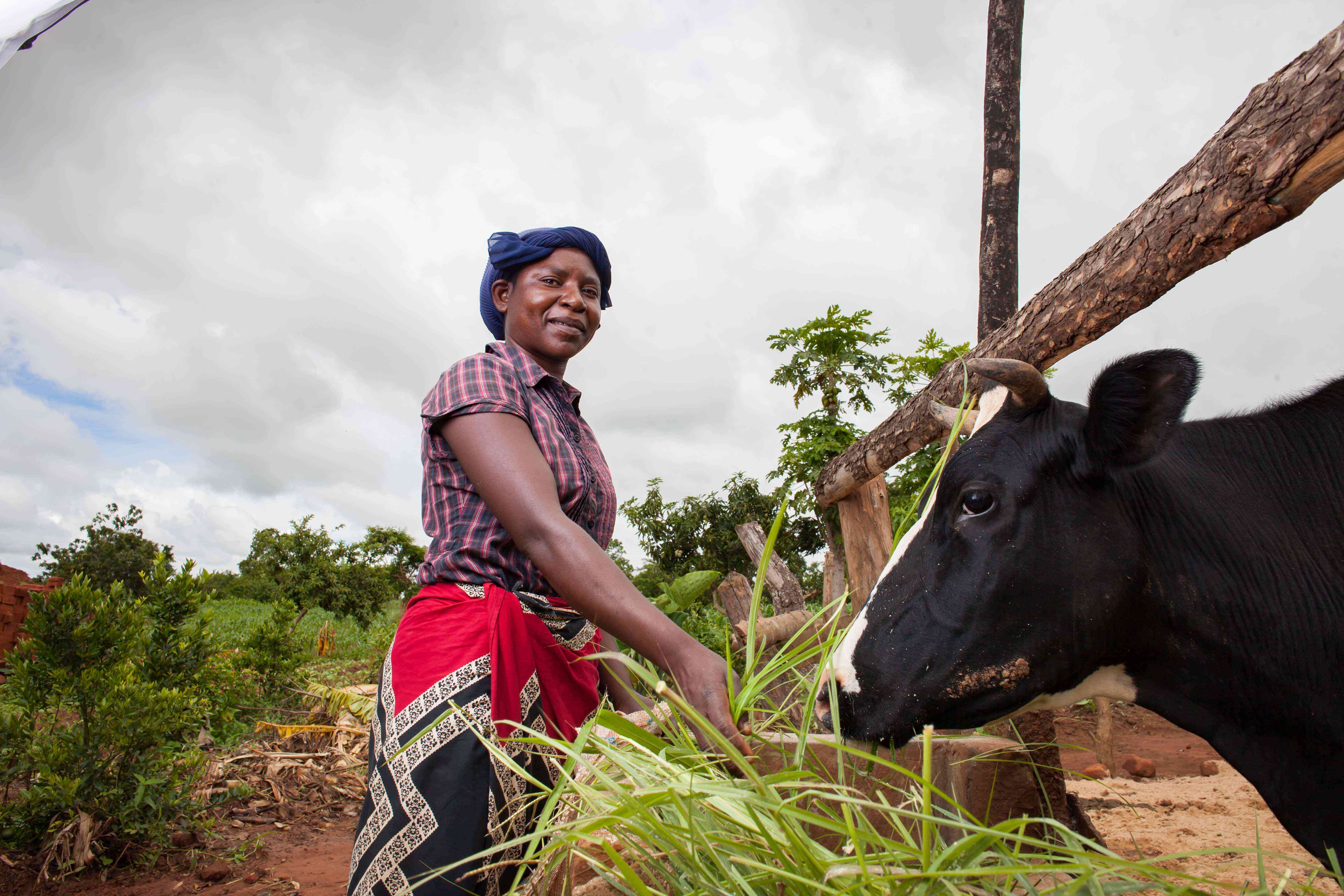Cynthi Bota, a beneficiary under the PASACLIP project